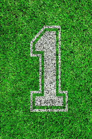 White line number on green grass