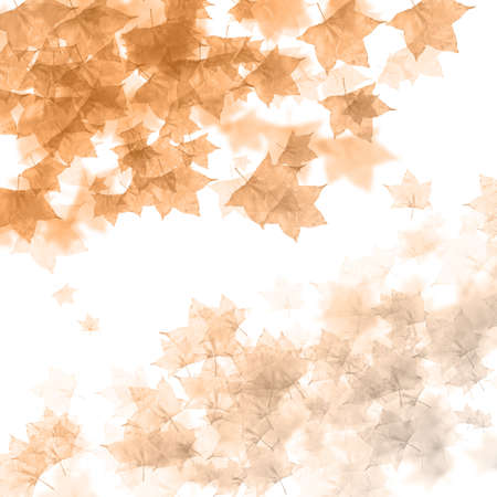 Earth tone autumn backgroundの写真素材