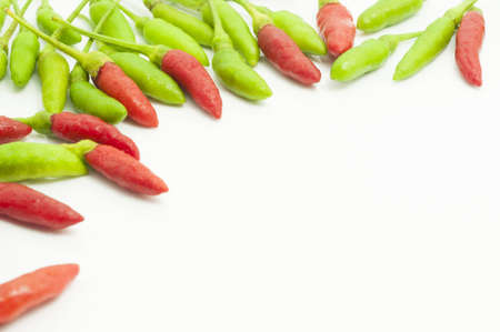 red and green chilli  and empty space for textの写真素材