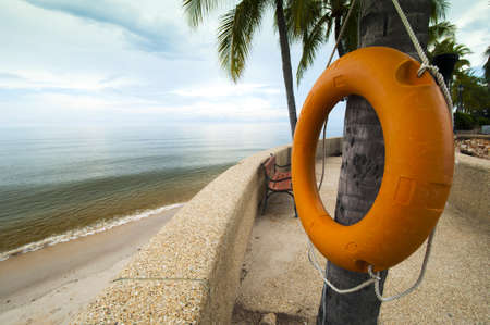 Orange Life Buoy hanging on a tree at beach sideの写真素材