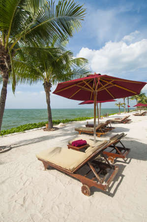 Vacation Image Of Beach Umbrella And Loungers On Tropical Beachの写真素材