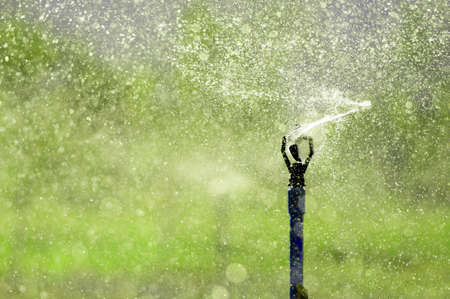 irrigation of agricultural field, water sprinkler