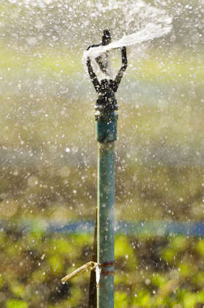 irrigation of agricultural field, water sprinklerの写真素材