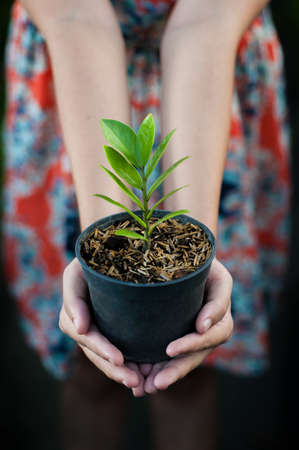 Young woman holding a plant in potの写真素材