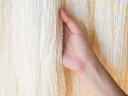 hand holding raw silkの写真素材