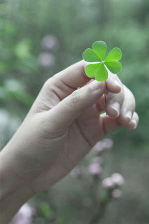 hand holding lucky leaf