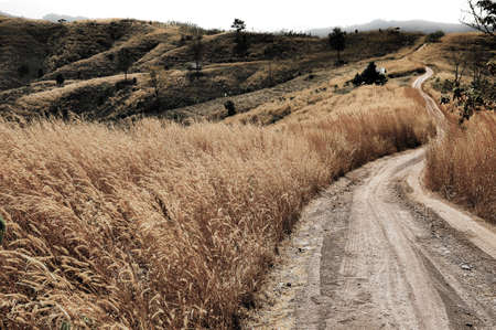 Rural dusty countryside road trough a bald hill with dry grassの写真素材