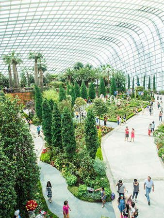 SINGAPORE, MARCH 09 - Display in the Flower Dome, one of two conservatories within the Gardens by the Bay spanning 101 hectares of reclaimed land in central Singapore, Singapore in MARCH 09,2014のeditorial素材