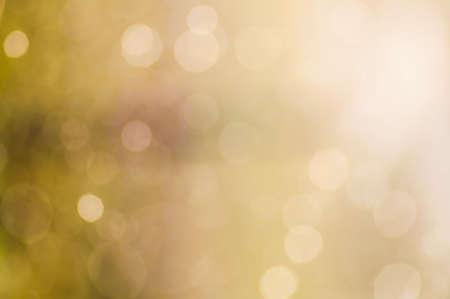 Soft light summer abstract backgroundの写真素材