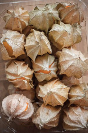 Cape gooseberry in plastic container packの写真素材