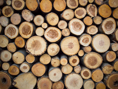 Wood logs background