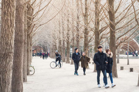 CHUNCHEON, SOUTH KOREA - OCT 07, 2014: Tourists enjoy one of the many tree-lined trails of Nami Island (Namiseom), where the popular Korean drama Winter Sonata was filmed.のeditorial素材