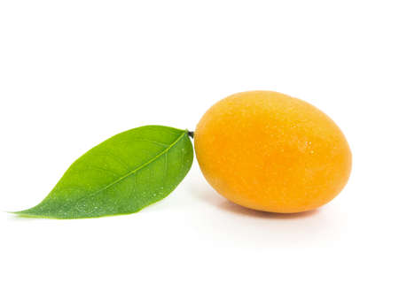 Tropical fruit. Marian plum or Plum Mango isolated on white の写真素材