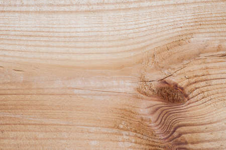 Clean pine wood background texture.の写真素材