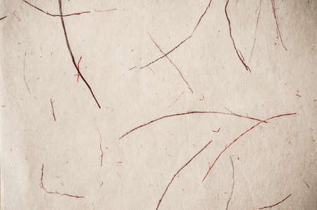 Handmade mulberry paper textureの写真素材