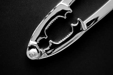 Lobster crackrer on black granite backgroundの写真素材