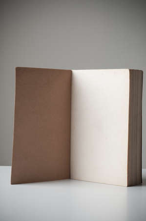 Blank old book open perspective view.の写真素材