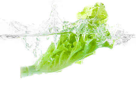 Lettuce falls under water with a splash. isolated on white backgroundの写真素材