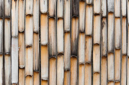 Half cut bamboo trunk background.の写真素材