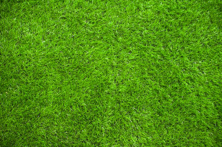 Green grass background