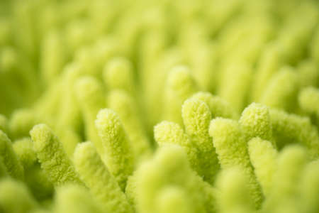 Macro of absorbent fabric or carpet.の写真素材