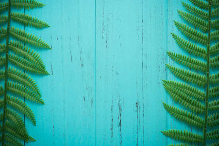 Nature green leaf with shappy wood backgroundの写真素材