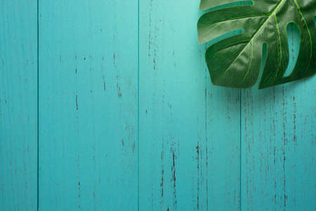 Nature green leaf with shabby wood backgroundの写真素材