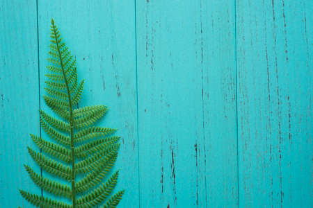 Nature green leaf with shappy wood backgroundの写真素材