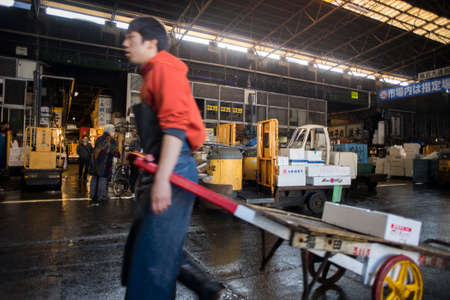 Tokyo, Japan - February 17, 2017 : Tsukiji Fish Market. The market is one of biggest fish market in the world.のeditorial素材