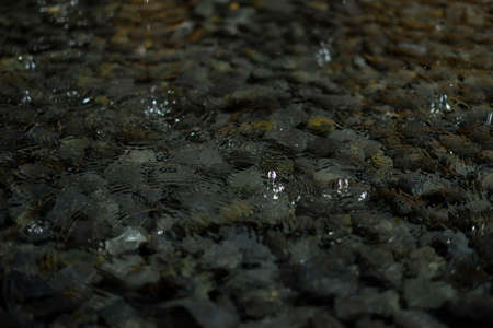 Raindrop in pebble pond.の写真素材