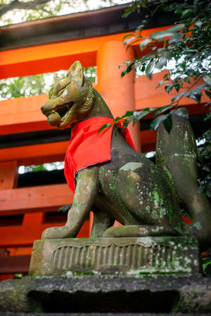 Fushimi Inari Fox Guard and Torii Gateのeditorial素材