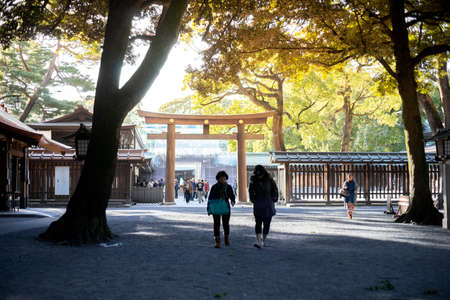 Tokyo, Japan - February 18, 2017 : People walking under lush of tree at path way of Meiji Jingu shrine, Tokyoのeditorial素材