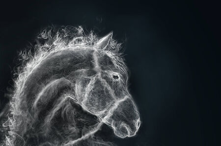 portrait of a horse. image from a smokeの写真素材