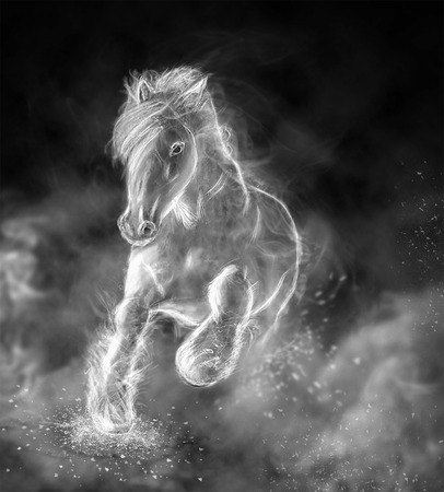 the beautiful white wild stallion running on clouds.の写真素材