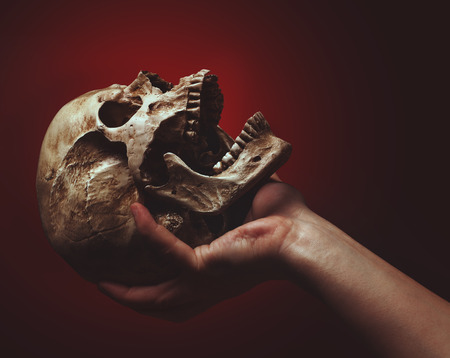 hand holding a skull on a black-red backgroundの写真素材