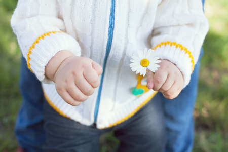 little flower in the hand of a small childの写真素材