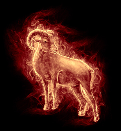 portrait of a ram. image from a smokeの写真素材
