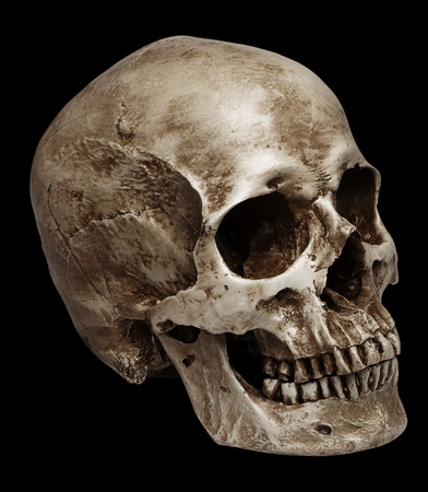 skull-close mouth. isolated on black background, with shadowの写真素材