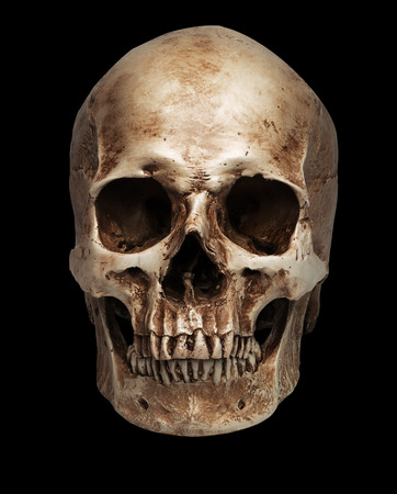 skull-close mouth. isolated on black background, with shadowの写真素材