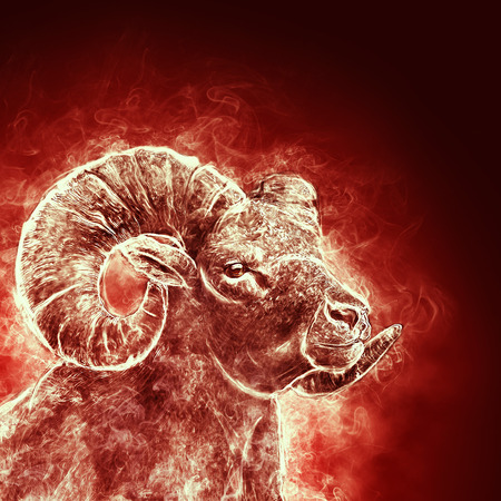portrait of a ram.の写真素材