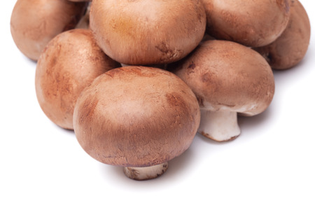 fresh mushroom champignon isolated on white backgroundの写真素材