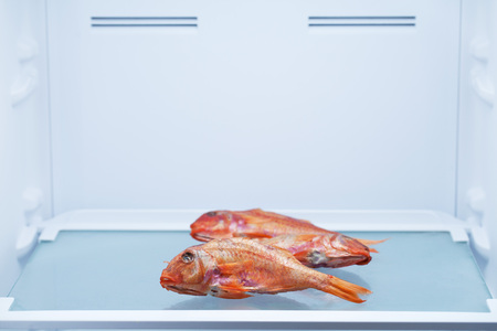 smoked fish lies in the refrigerator on the shelf