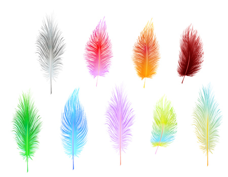 set of multi-colored vector feathers isolated on white backgroundのイラスト素材