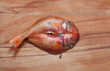 tasty smoked fish mullet lying on a wooden cutting board