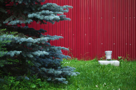 background of iron red leaves. example of a simple fencing. with large coniferous firsの写真素材