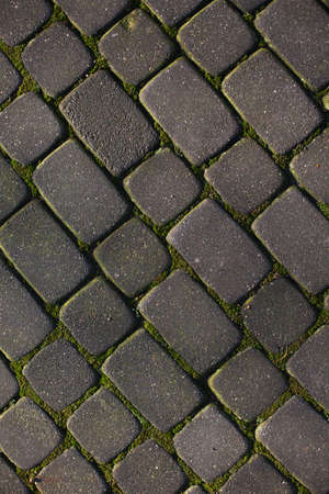 texture of pavers and stone. beautiful pattern from paving