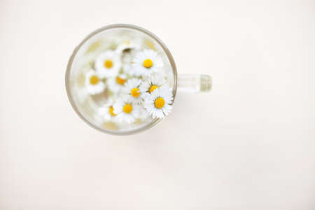 bouquet of daisies in a glass cup on a light backgroundの写真素材
