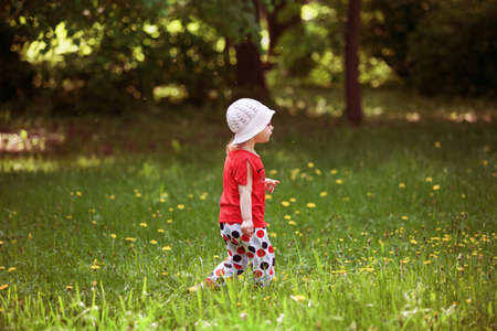 little girl walks in the forest on a sunny dayの写真素材
