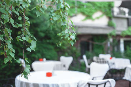 stylish cafe with white tablecloths and a background of green bushes. free tables. outdoor recreationの写真素材
