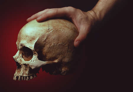 hand holding a skull on red backgroundの写真素材